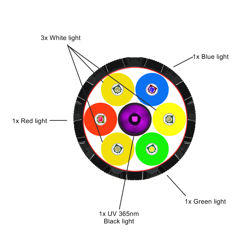 7xLED ad alta luminosità bianc - Outdoor Adventure Uva recensione e prezzo
